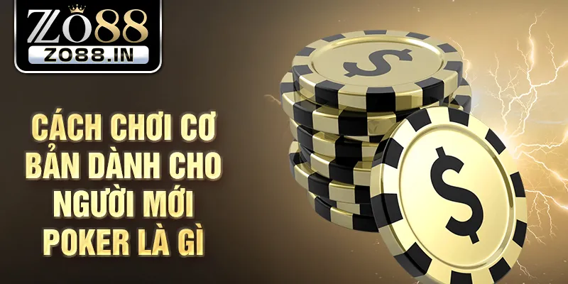 Cách chơi cơ bản dành cho người mới poker là gì