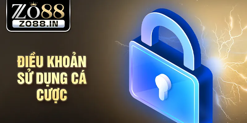 Điều khoản sử dụng cá cược